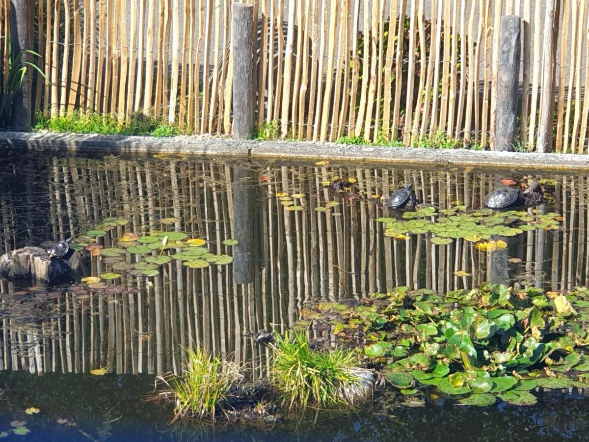 Het Pauwtje Bed & Breakfast Zoutelande Bagian luar foto